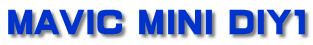 MAVIC MINI DIY1